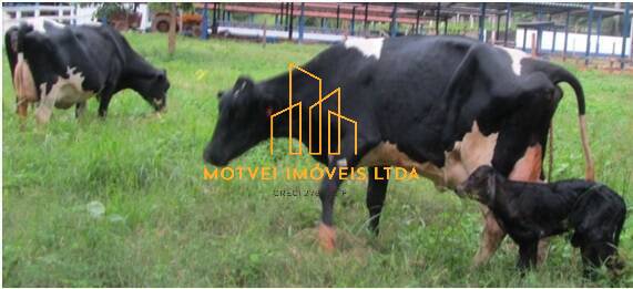 Fazenda, 78 m² - Foto 20