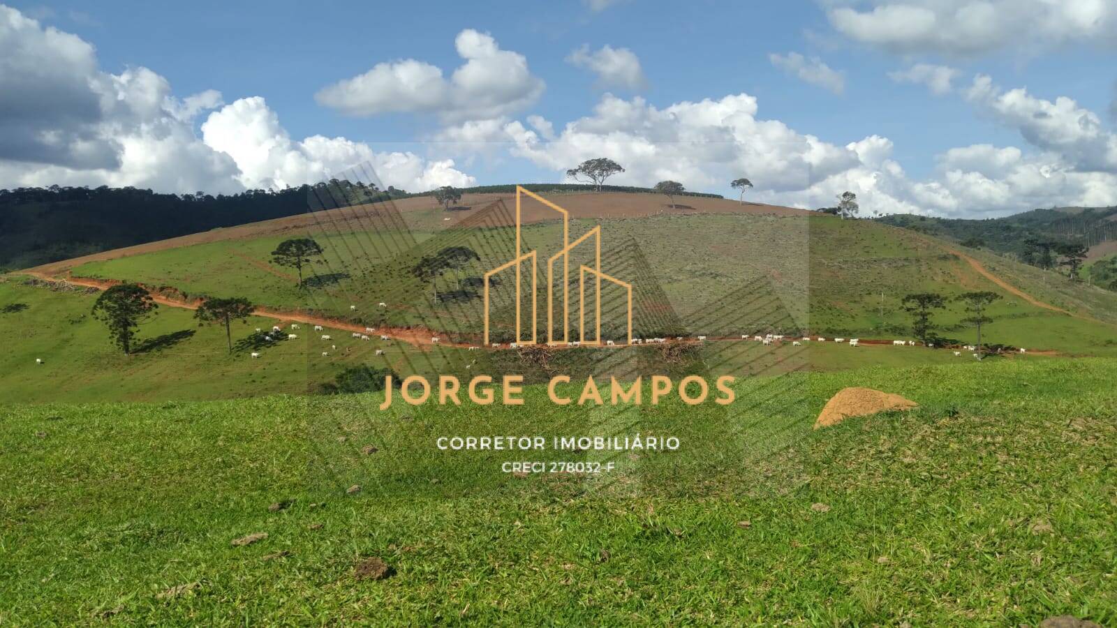 Terreno, 163 m² - Foto 10