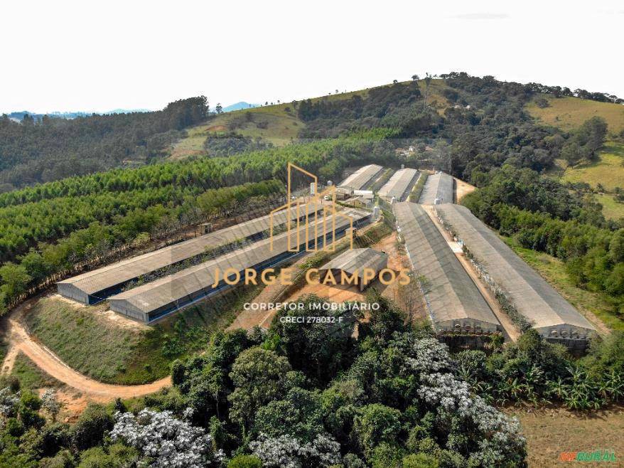 Terreno, 2 hectares - Foto 1