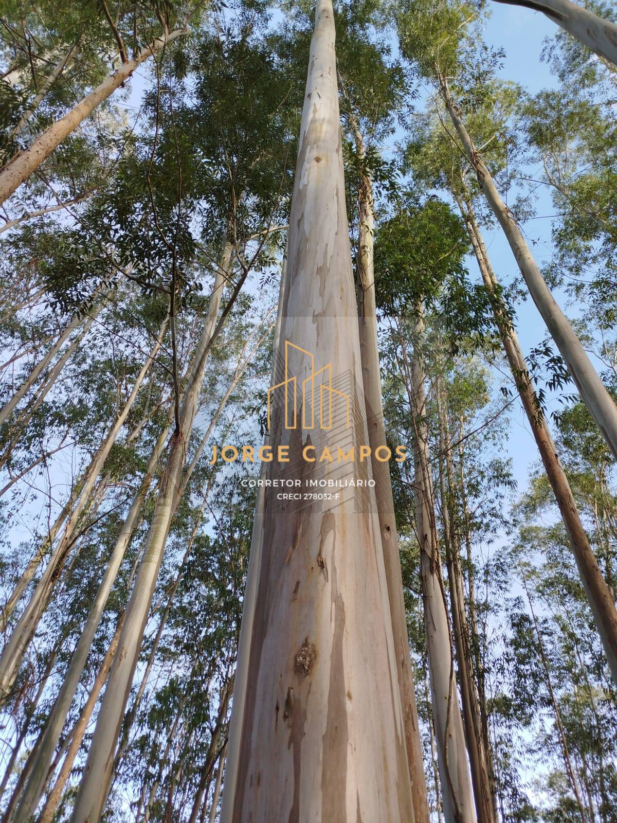 Fazenda, 470 m² - Foto 24
