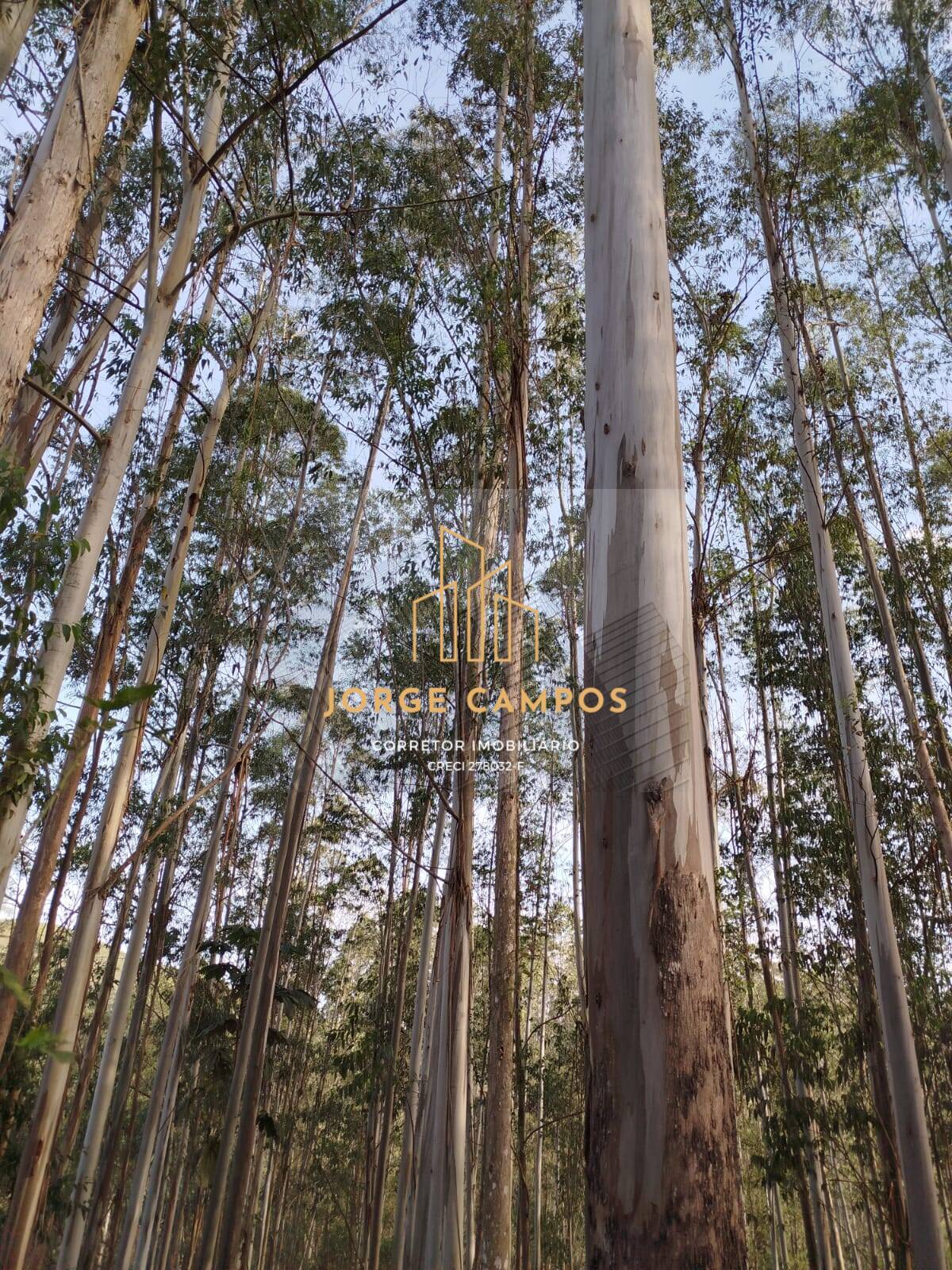 Fazenda, 470 m² - Foto 27