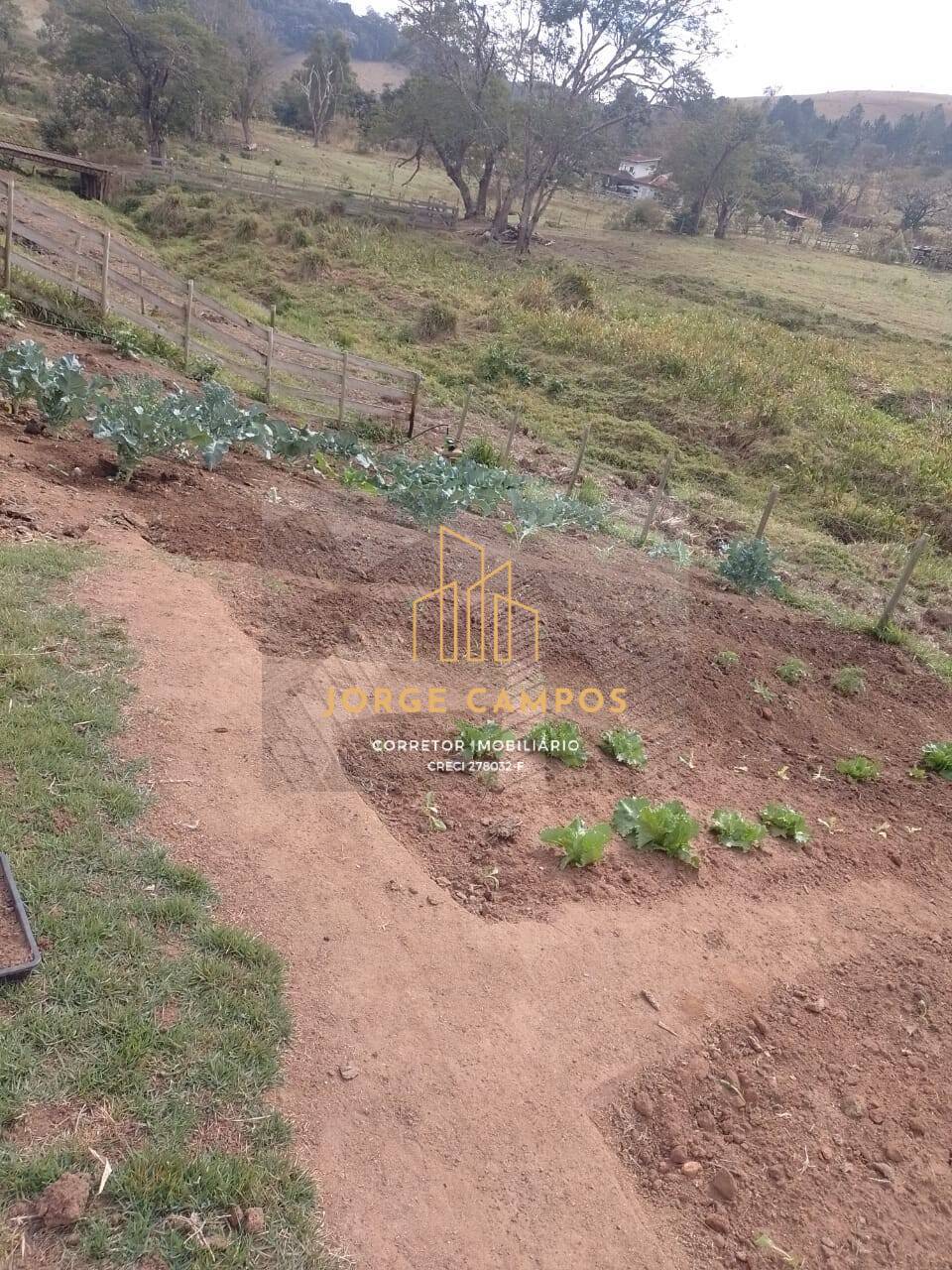 Sítio, 2 quartos, 1 hectares - Foto 18